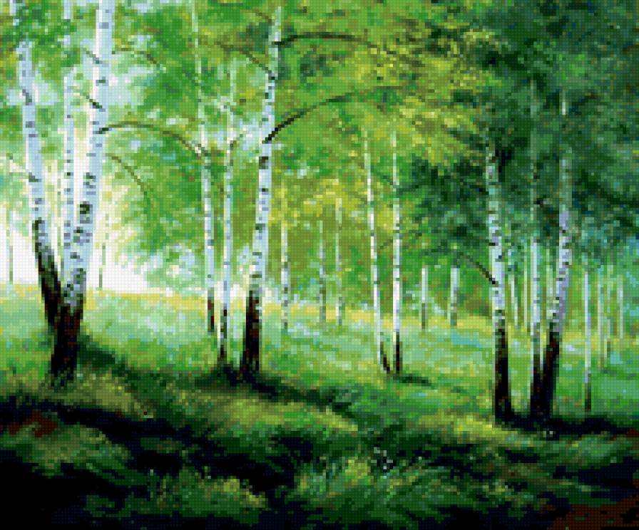 березы - деревья, березы - предпросмотр