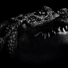 Схема вышивки «№352161»