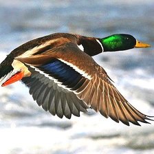 Схема вышивки «№352205»