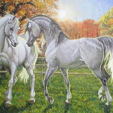 Схема вышивки «№352211»