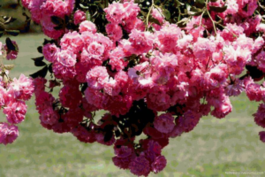 №352375 - предпросмотр