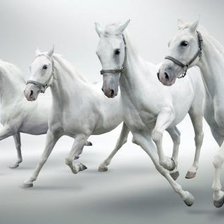 Схема вышивки «лошоди»