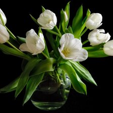 Схема вышивки «№352576»