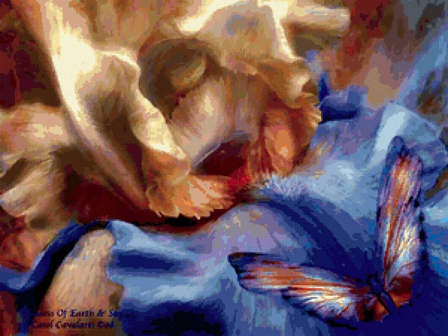 цветы - предпросмотр