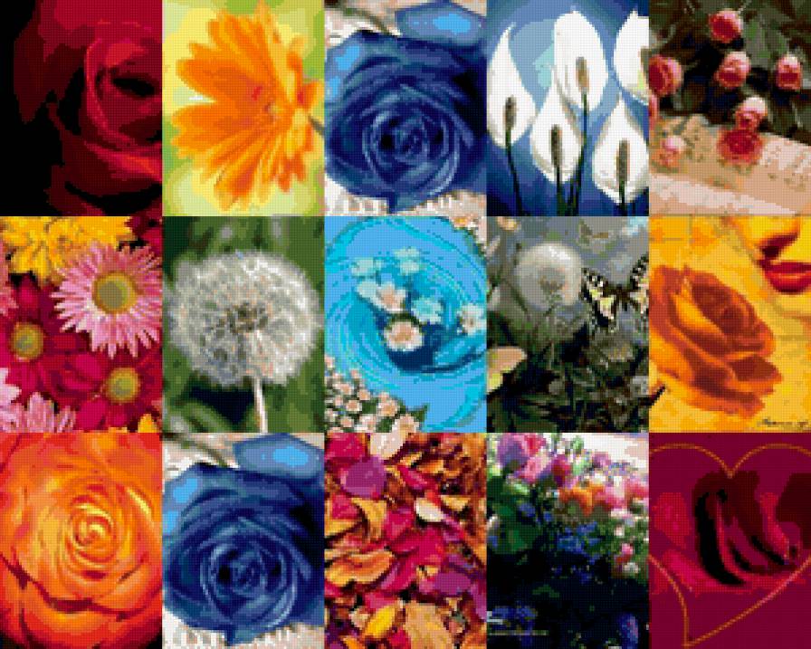 wdtns - предпросмотр