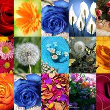 Схема вышивки «wdtns»