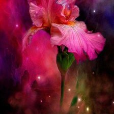 Схема вышивки «цветы»