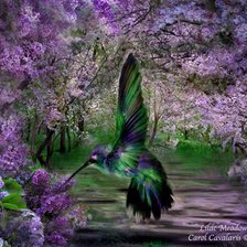 Схема вышивки «цветы»