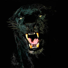 Схема вышивки «пантера»