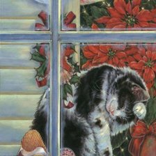 Кошка у окошка...