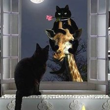 Схема вышивки «Кошка у окошка...»