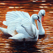 Схема вышивки «лебеди»