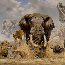 Схема вышивки «Африка»