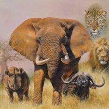 Схема вышивки «Африка»