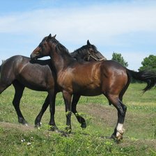 Схема вышивки «№352869»