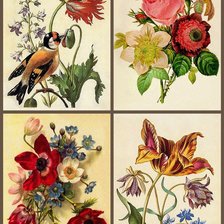 Схема вышивки «Цветы»