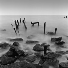 Схема вышивки «чёрно-белый куяльник»