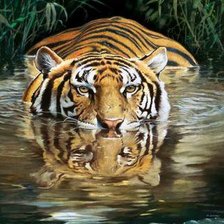 Схема вышивки «киса Владимира»