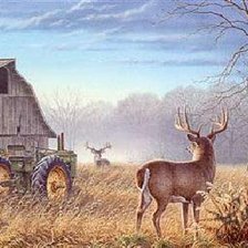 Схема вышивки «№353291»