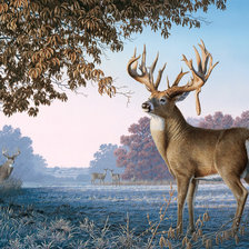 Схема вышивки «№353304»