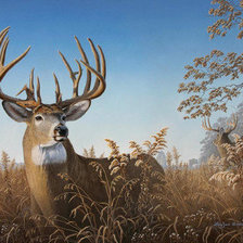 Схема вышивки «№353305»