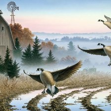 Схема вышивки «№353312»