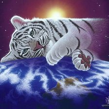 Схема вышивки «снежный барс»