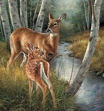 Схема вышивки «№353470»