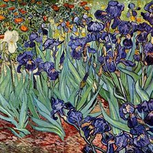 Схема вышивки «ирисы: ВАН ГОГ»