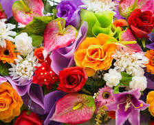 Схема вышивки «ЦВЕТЫ»