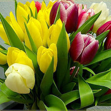 Схема вышивки «№353677»