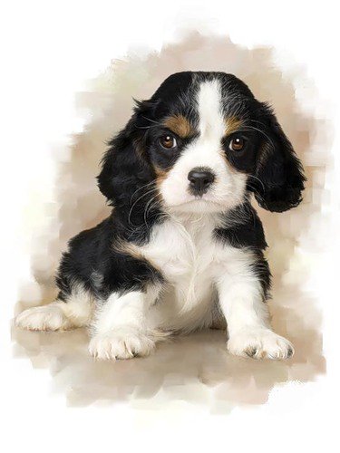 №353712 - оригинал