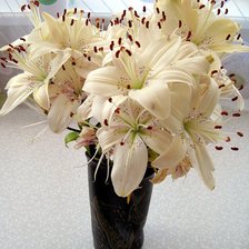 Схема вышивки «№353723»