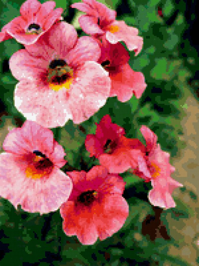 №353728 - цветы - предпросмотр