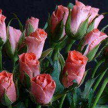 Схема вышивки «№353815»