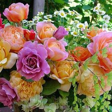 Схема вышивки «№353838»