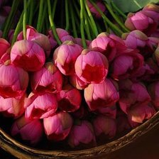 Схема вышивки «№353855»