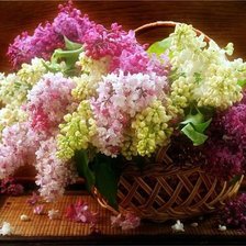 Схема вышивки «№353856»