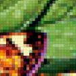 Предпросмотр схемы вышивки «бабочка» (№353867)