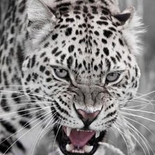 Схема вышивки «№353869»