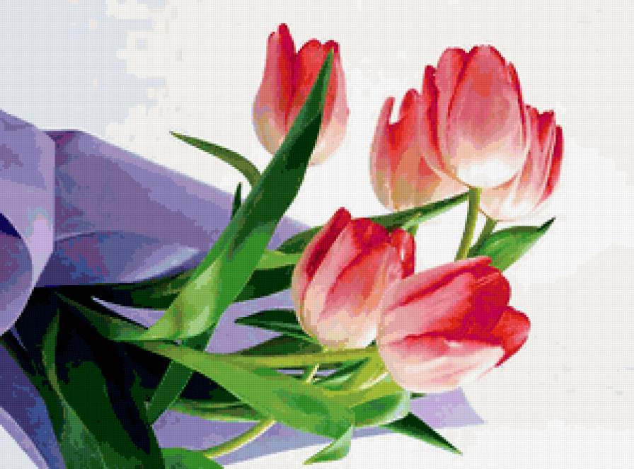 тюльпаны - цветы - предпросмотр