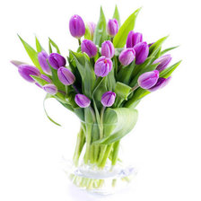 Схема вышивки «тюльпаны»