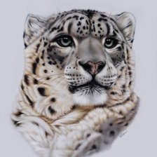 Схема вышивки «леопард»