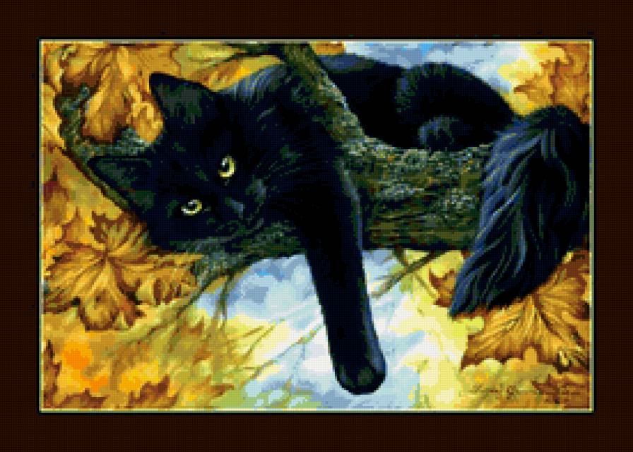 черный кот - животные - предпросмотр