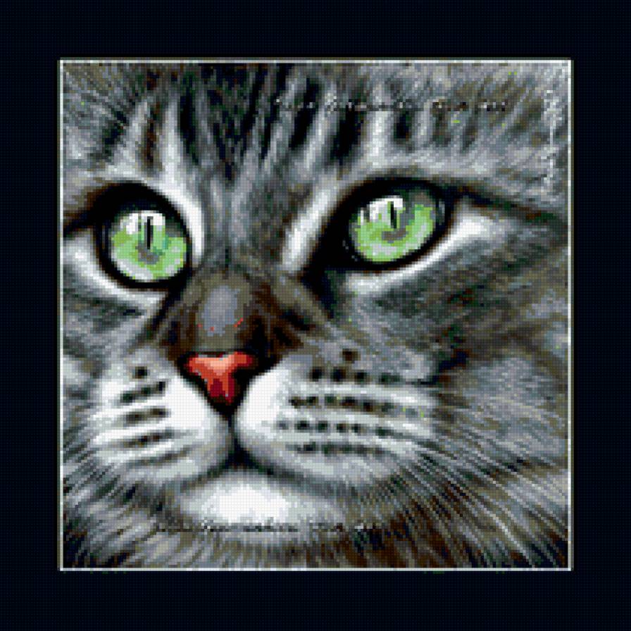 котик - животные - предпросмотр