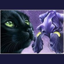 Схема вышивки «черный кот»