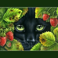 Схема вышивки «черный кот»