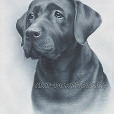 Схема вышивки «№354111»