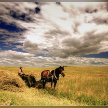 Схема вышивки «сенокос»
