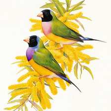 Схема вышивки «№354133»